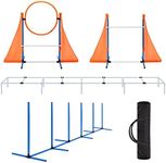 Pet Scene Dog Agility Equipment 5 S