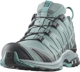 Salomon Women's XA PRO 3D GTX Trail Running and Hiking Shoe, Lead/Stormy Weather/Meadowbrook, 8 US