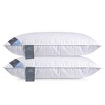 D & G THE DUCK AND GOOSE CO Natural Feather & Down Pillow – Luxury Sleeping Pillow with Downproof Dual-Layer Cover, Medium-Soft Density Support for Back & Side Sleepers (Pack of 1, 19x29 inches)