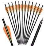 ELONG OUTDOOR 12X 16 Inch Crossbow Bolts Archery Arrows Fiberglass Hunting Target Arrow with Flat Nocks Removable 100 Grain Arrowheads