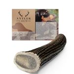 Antler Chew Antler Dog Chews Large(130-180g, From 13cm) Sanded, Naturally Shed, Ideal Toys for Moderate Chewers, Supports Dental Health, Long-Lasting, Odorless