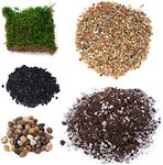 TerraGreen Creations Succulent Planter Kit - Terrarium Kit with Succulent Soil, Gravel, Pebble, Moss,