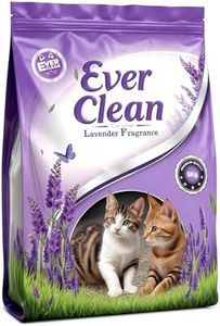 Ever Clean