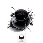 Bottled Pen Ink