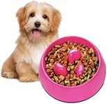 Flexzion Slow Feeder Dog Bowl Inter