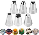 Large Icing Piping Tips Set for Cake Decorating,6 Decorating Tips Stainless Steel Pastry Tips,Flower Frosting Tips Nozzles,#1M 2A 2D 2F 6B 234