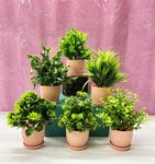 Dekorly Plastic 6 Packs Fake Plants Small,Mini Artificial Plants Indoor For Home Farmhouse Bathroom Shelf Décor(Height : 17Cm,Pink)