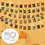 MOTONG 5M 50 LED Photo Clip String Lights Copper Wire, Photo Peg Lights with 40 Clips, Great for Birthday Party, Home, Dorm, Christmas Decor Lights