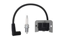 20 584 03-S Ignition Coil Module + Spark Plug for Kohler Courage Command SV470 SV480 SV530 SV540 SV590 SV600 SV610 SV620 15 16 17 18 HP Engine Motor MTD Riding Lawn Mower Tractor Cub Cadet 74360 74363