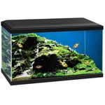 Love Aquatics 60 LED Tropical Glass Black Aquarium - Includes Filter, Lights & Heater 58L Fish Tank With FREE Syphon Kit and Thermometer