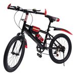 20 Inch Kids Bike