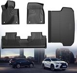 Original 2016-2022 RX Floor Mats an