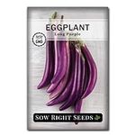 Sow Right Seeds - Long Purple Eggpl