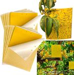 10Pcs Yellow Sticky Fruit Fly Trap for House Plants, Nontoxic Bug Killer for Indoor and Outdoor, Insects Killer for Houseplant, Fungus Gnat Plant Traps (10)