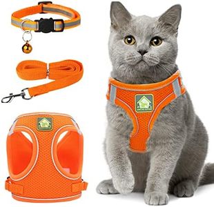 Pettorina Collarino Guinzaglio per Gatto, Cani Taglia Piccola, Antifuga Riflettente Regolabile Pettorina Traspirante (S)