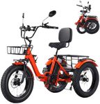 Electric Tricycle for Adults 750W(P
