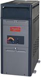 RayPak 106,000 BTU Natural Gas Abov