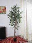 Home Bloom Artificial Ficus Tree,6FT Tall Fake Plant Faux Ficus Plants for Indoor,Natural Fake Tree,Artificial Silk Plants for Office Home Living Room Floor