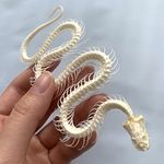 CLLOEAT Taxidermy Real Snake Skeleton Animals Skulls, Real Bones Specimen, Taxidermy Supplies for Science Education, Special Gift, DIY Home&Office Decor