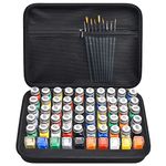 Model Paint Storage Case Compatible with Testors Paint Set, Paints Organizer Carrying Bag Holds 60 Bottles with 9 Fine Detail Miniatures Paint Brushes, Enamel Paint Container- Paint Not Included