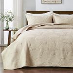 Qucover Beige Bedspread Soft and Comfortable Cotton Quilted Bedspreads King Size with Elegant Embroidered Palm Leaf Pattern, 3 Pieces Bedspreads Coverlets Sets with Pillowcases for All Seasons