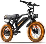 VDL Mountain Electric Bike for Teen