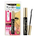 Japanese Mascaras