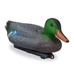 Duck Decoys