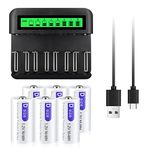 Palogreen 6 Pack Rechargeable D Batteries with Charger for AA/AAA/C/D 1.2 V NI-MH NI-CD Rechargeable Battery, 8 Bay LCD Universal Battery Charger Micro USB and Tpye C Charger Port