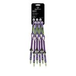 Wild Country Session Quickdraws Pack of 6, purple-green