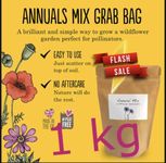 UK Economy Bulk Wild Flower Seed Mix Annual Meadow Plants Attracts Bees & Butterfly (1kg) Mix UK Seeds NO Grass NO Sand