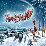 Charity Christmas Cards Santa Over Animals Foil Embossed Finish - Pack of 5