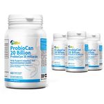 ALLBE ProbioCan 20 Billion CFU, 7 Strains of Gut Health Probiotics for Women, 4 Packs of 60 Probiotic Capsules with Lactobacilus Acidophilus and Bifidobacterium Lactis (240 Days Supply)