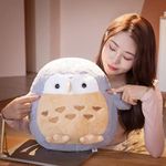 Owl Pillow For Girls