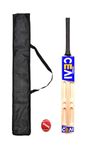 XTROKE CEAI Scoop Design Popular Willow Premium Cricket Bat with Tennis Ball and Bat Cover for Men's & Adult, Advance Play All Tennis Ball, Tournament Match (Size 05)