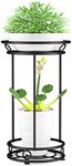 YIUKEA Plant Stand Indoor Outdoor - Metal Planter Holder Shelf Tall Tiered Flower Pot Display Organizer Rack for Garden, Patio, Living Room, Bathroom, Office (Black)