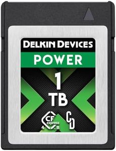 Delkin 1TB CFexpress Type B 4.0 Memory Card for Digital Cameras | Ideal for Express Transfer of Images and Videos for Storage | 1TB Memory Card Storage