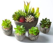 Jobary Set of 5 Artificial Succulent Potteds (Includes 10 Plants), Colourful and Decorative Faux Succulent Plants with Stones, Ideal for Home, Office and Outdoor Decor