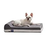 Laifug Orthopedic Memory Foam Dog B