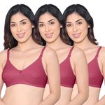 Kalyani Pranika Non Padded Cut & Sew Cups Everyday Bra, Rose Bud,Rose Bud,Rose Bud_40D (Pack of 3)