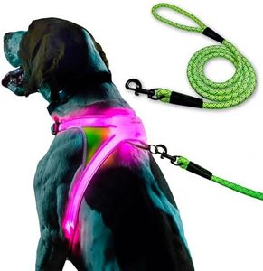 Noxgear LightHound (X-Large) + High-Visibility Dog Leash – Illuminated and Reflective Harness for Dogs Including Multicolored LED Fiber Optics (USB Rechargeable, Adjustable, Lightweight, Rainproof)