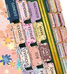 Bible Tabs Soft Pastel - Soul Nourishing Book Summaries - 66 Peel-and-Stick SilkTouch Laminated Bible Tabs Large Print | Bible Tabs for Women, Bible Tabs for Study Bible, Bible Book Tabs