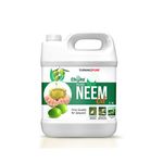 Chipku Pure Cold Pressed Water Soluble Neem Oil Concentrate For Plants & Garden 250ml |For Making 50 Neem Spray Bottles For Plant Insects | Herbal Pest Repellent | Effective With 3 In 1 Formula