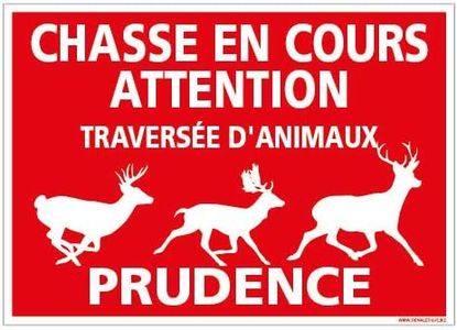 Panneau Attention Chasse en Cours - Protection Anti-UV - Dimensions 420x300 mm - Plastique Rigide PVC 1,5 mm