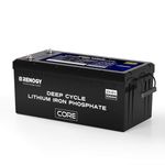 Renogy 24V 100Ah Core Series Deep Cycle Lithium Iron Phosphate Battery, 5000+ Cycles, Built-in 100A BMS, 200W Self-Heating, Perfect for Cabin, Trolling Motor, Shed, Marine, RV, Solar Off-Grid System