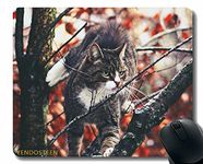 YENDOSTEEN Mouse Pad Personalized,Cat Branches Climb 133292 Mouse Pads