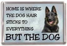 German Shepherd Dog No 1 Fridge Magnet "Home is Where The Dog Hair Sticks to Everything BUT The Dog"