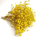 LYS&LYX Dried Babys Breath Flowers Bouquet, 17.2 inch 3500+ Yellow Flowers, Natural Branches for Home Decor, Gift for Mother, Dry Flowers Bulk for Vase, Wedding, DIY, Party（Yellow，3.52oz）