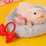 Dandelionsky 6Inch Silicone Pig Doll Toy, Full Silicone Animals Pig, Mini Soft Lifelike Silicone Piggy Doll with Accessories, Gifts for Kids, Her, Happy Birthday, Christmas(A)