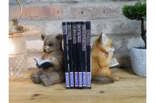 Pair of Bookends | Fox & Bear | Resin Book Shelf Tidies